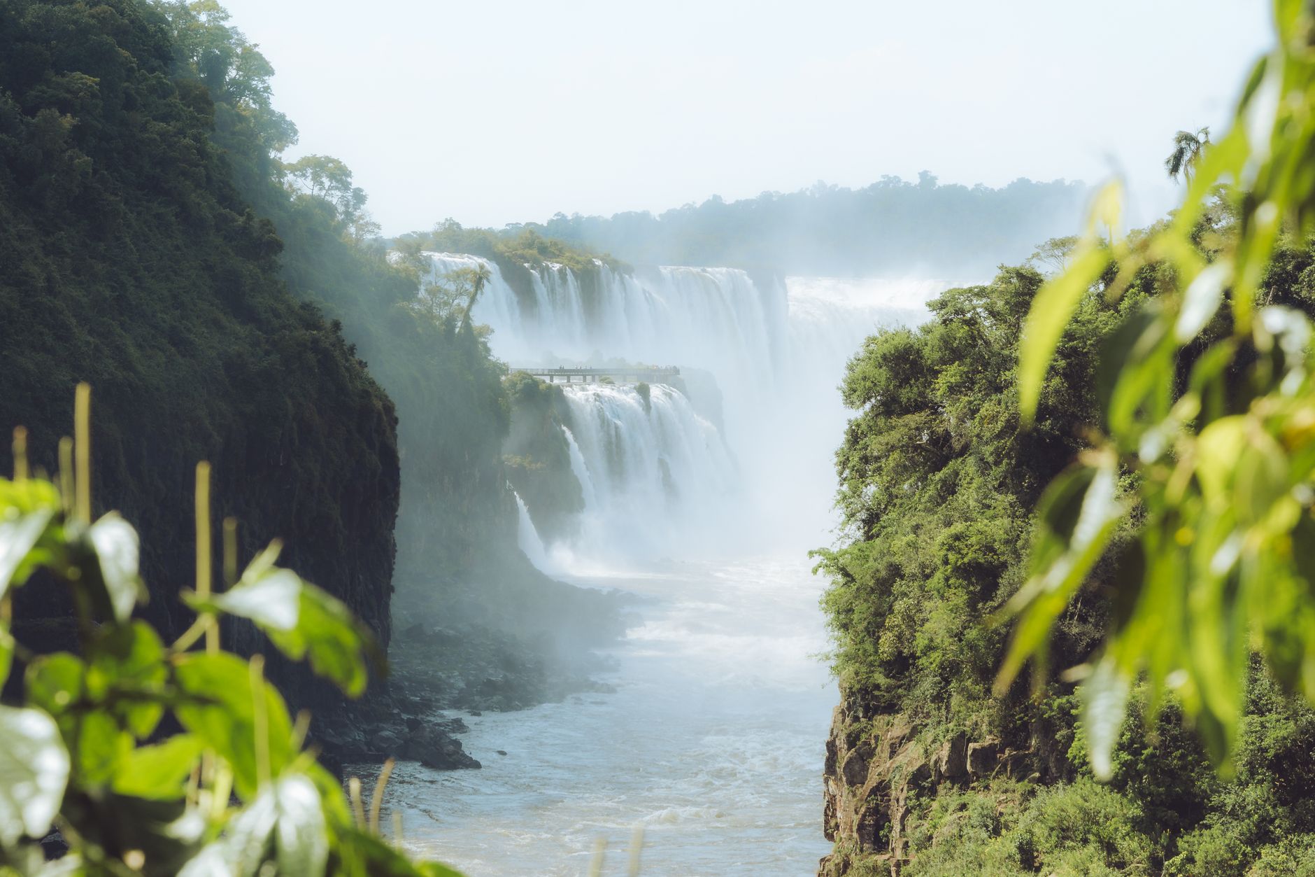 Cataratas del Iguazú y selva misionera